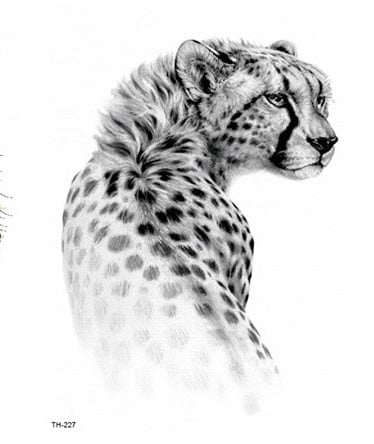 Temporary Tattoo TH-227 Cheetah Sketch