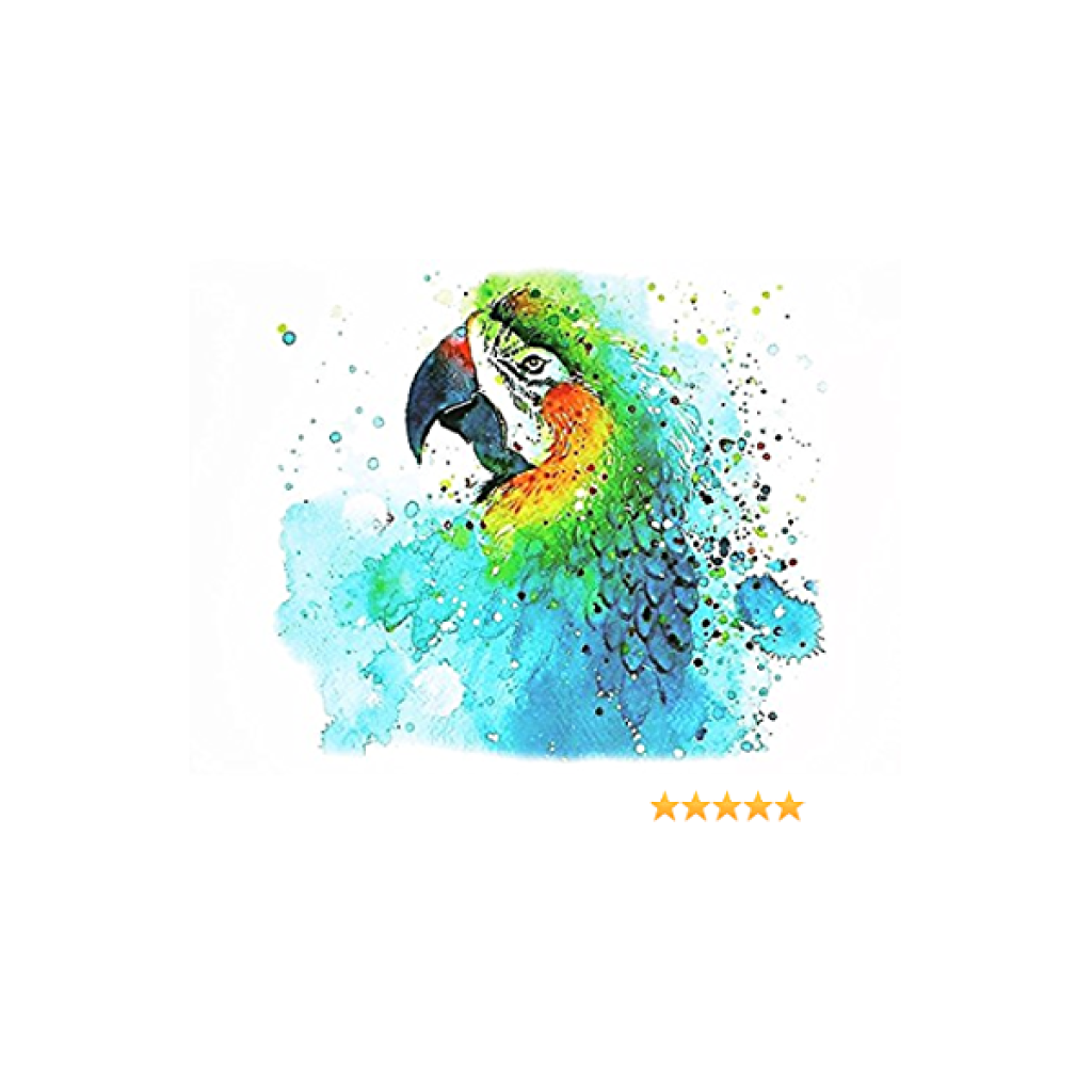 Temporary Tattoo KM-162 Parrot Bird Watercolour