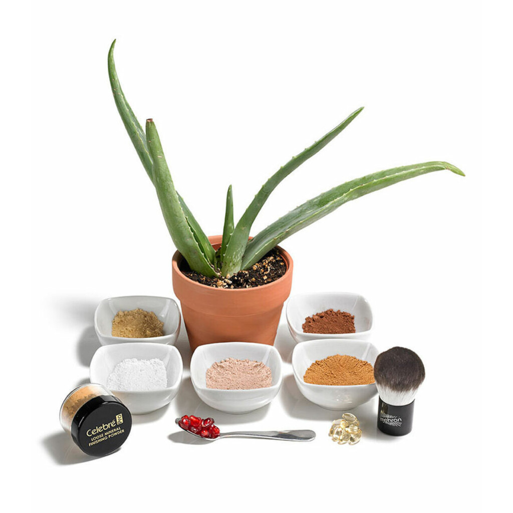 Mehron Celebré Pro-HD™ Mineral Finishing Powder