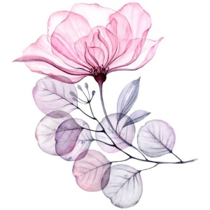 Temporary Tattoo KM-210 Watercolour Pink Flower with Purple Leaves